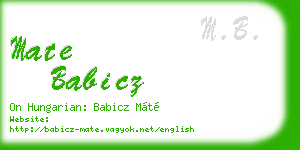 mate babicz business card